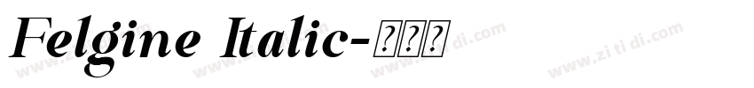 Felgine Italic字体转换